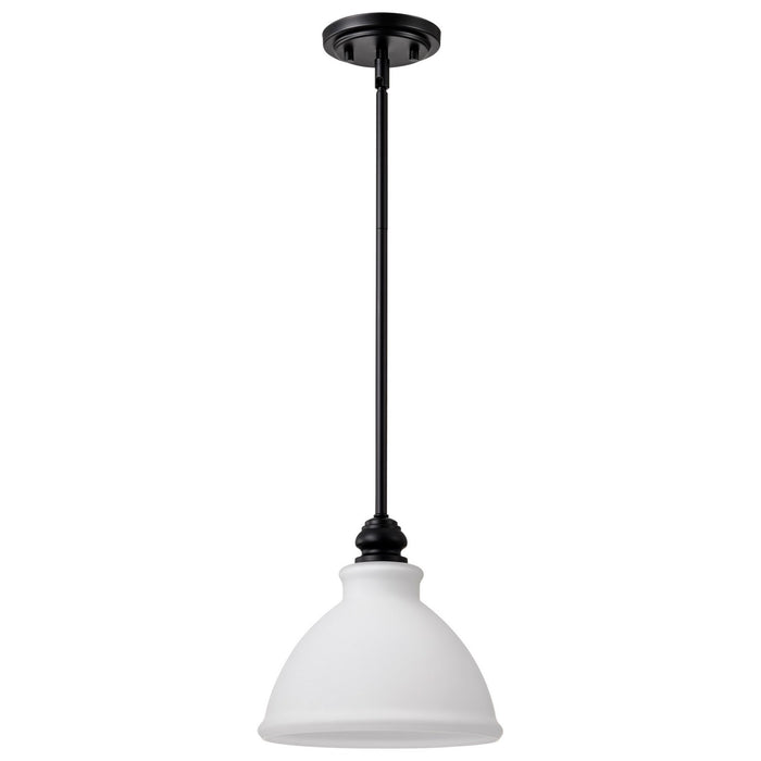 Nuvo Lighting 60-8024 Mini Pendant, Matte Black