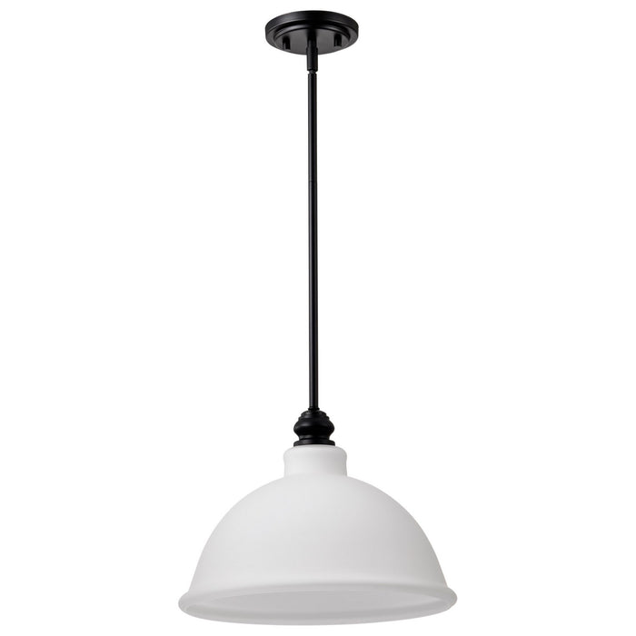 Nuvo Lighting 60-8026 Pendant, Matte Black