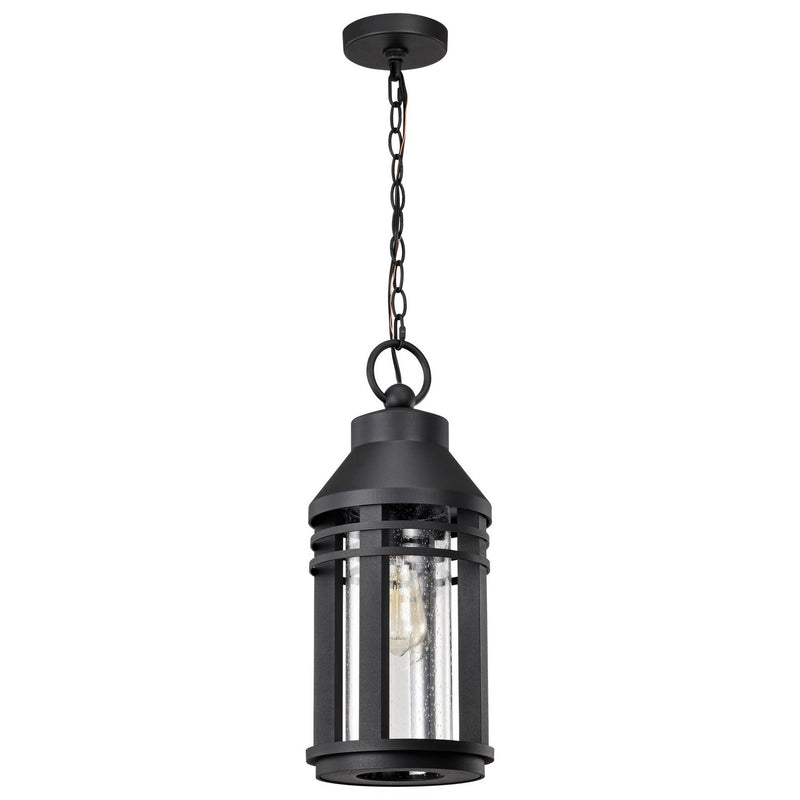 Nuvo Lighting 60-8104 One Light Hanging Lantern, Matte Black