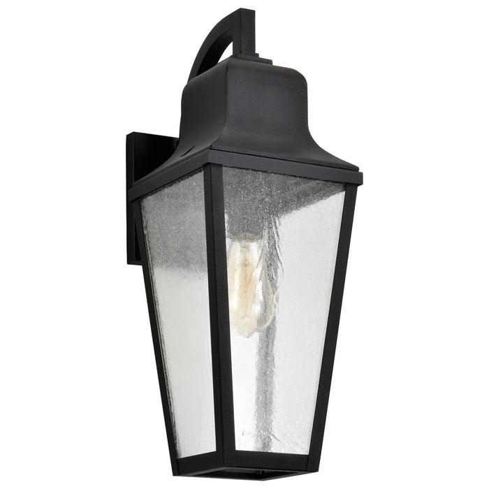Nuvo Lighting 60-8133 One Light Wall Lantern, Matte Black