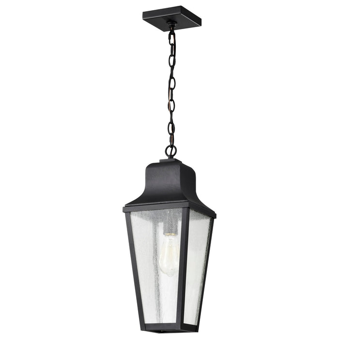Nuvo Lighting 60-8135 One Light Hanging Lantern, Matte Black