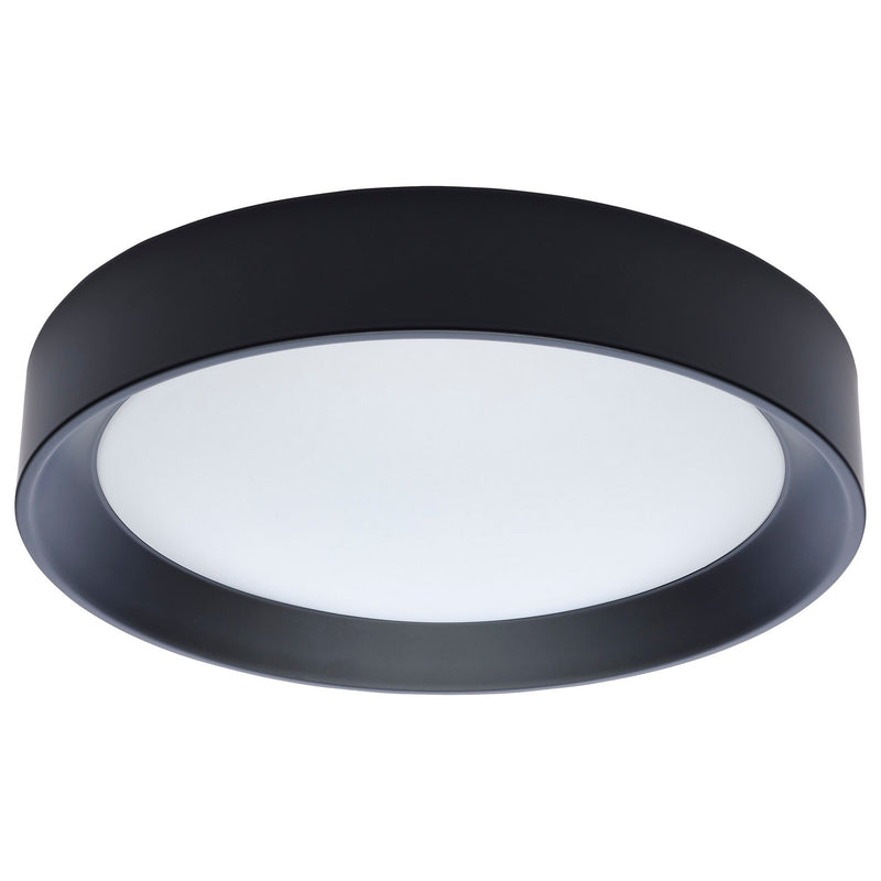 Nuvo Lighting 62-1696 LED Flush Mount, Black