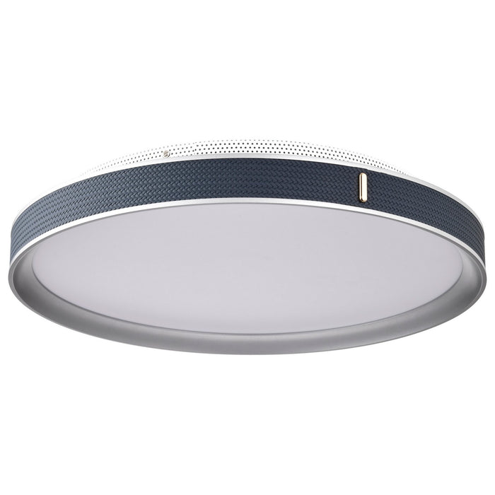 Nuvo Lighting 62-3002 LED Flush Mount, Gray