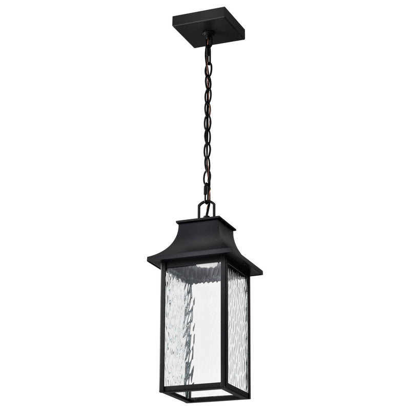 Nuvo Lighting 62-5996 LED Pendant, Matte Black