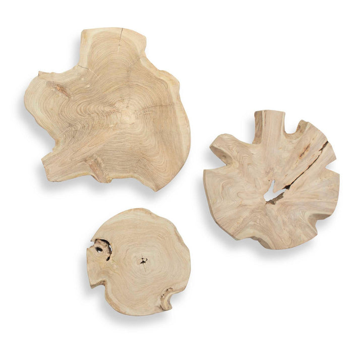 Uttermost 04392 Wall Art, Bleached