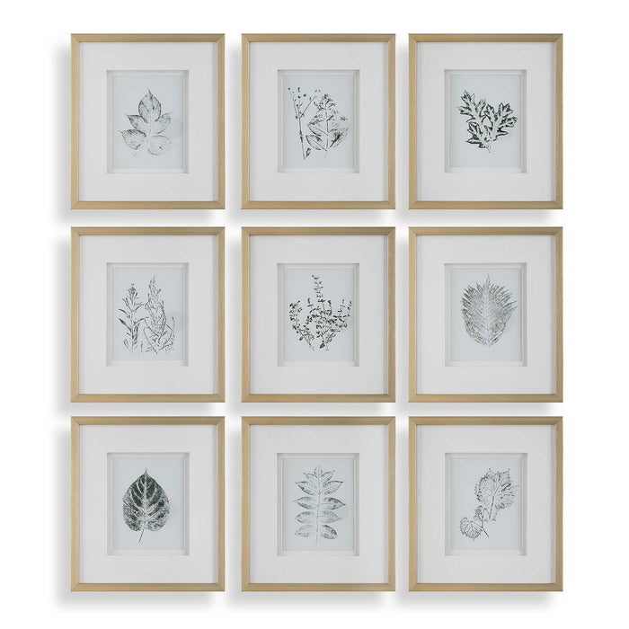 Uttermost 32449 Framed Botanical Prints Set/9, Gold