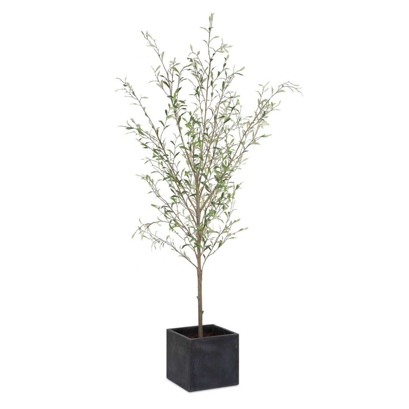 Uttermost 60240 Tree, Olive