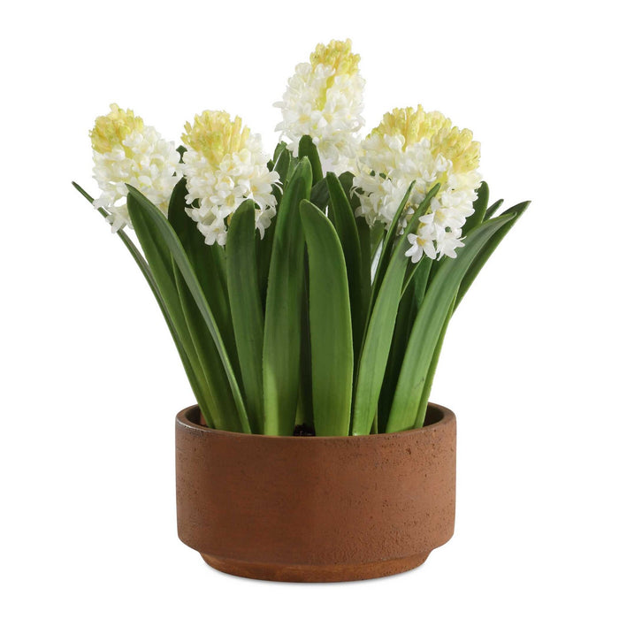 Uttermost 60242 Hyacinth Plant, Terracotta