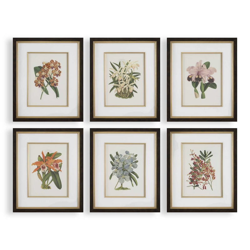 Uttermost 32447 Framed Prints Set/6