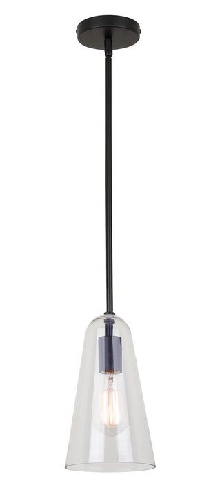 Canarm IPL1144A01BK One Light Pendant, Black