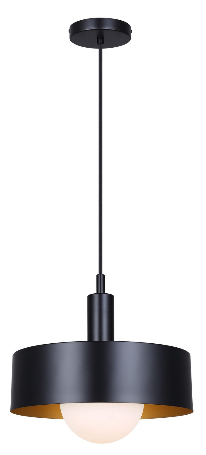 Canarm IPL1150A01BK One Light Pendant, Black
