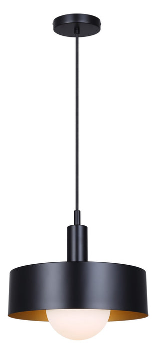Canarm IPL1150A01BK One Light Pendant, Black