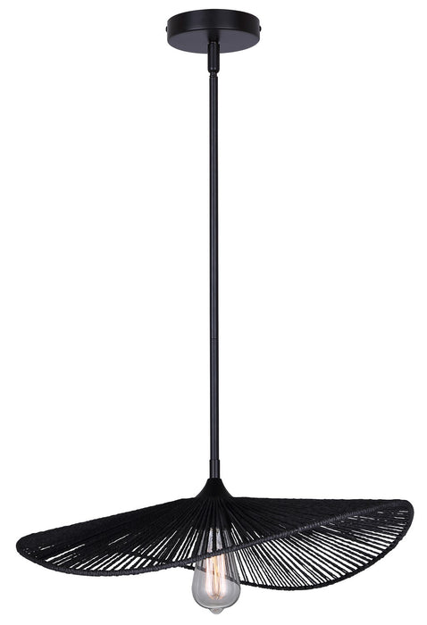Canarm IPL2208B01BK One Light Pendant, Black
