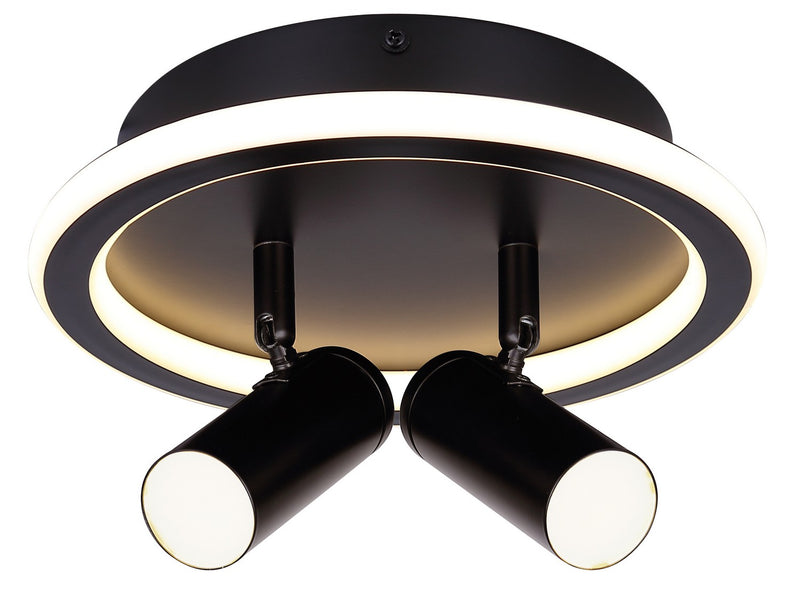 Canarm LCW314A02BK Two Light Ceiling/Wall Mount, Matte Black