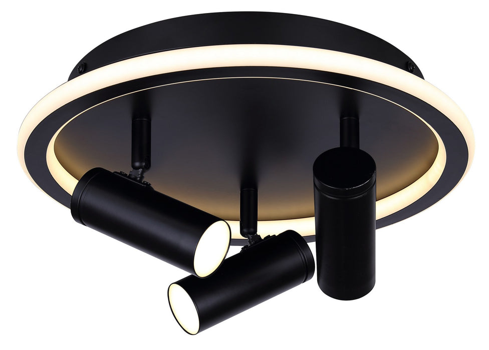 Canarm LCW314A03BK LED Ceiling/Wall Mount, Black