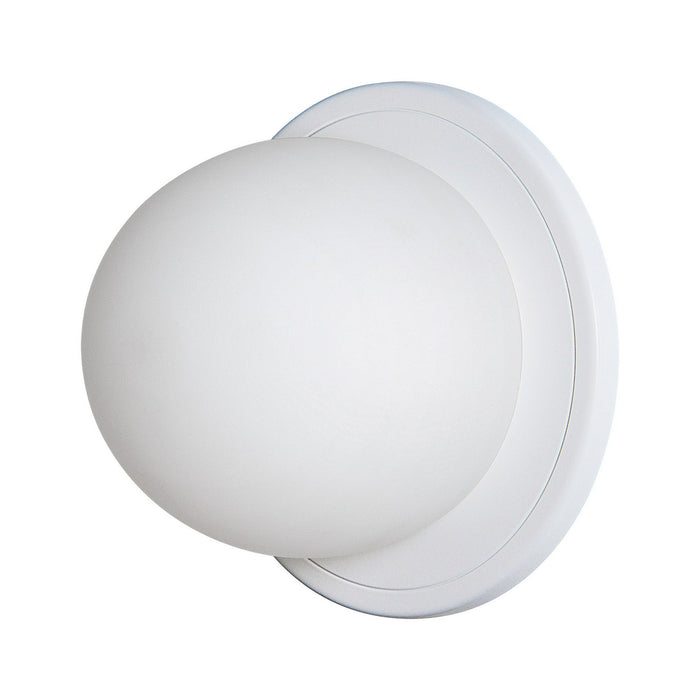 Renwil WS127 LED Wall Sconce, White