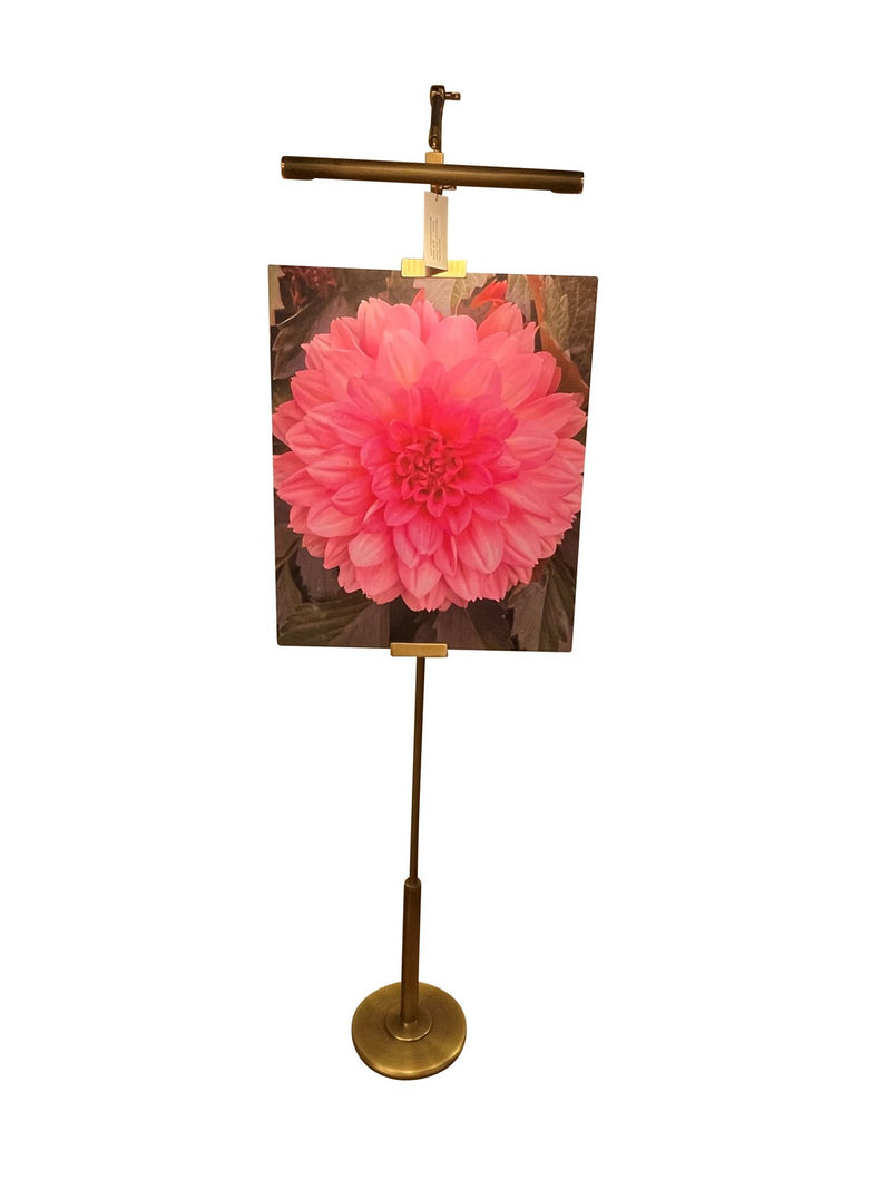 House of Troy RN300-AB/SB LED Floor Lamp, Antique Brass/Satin Brass