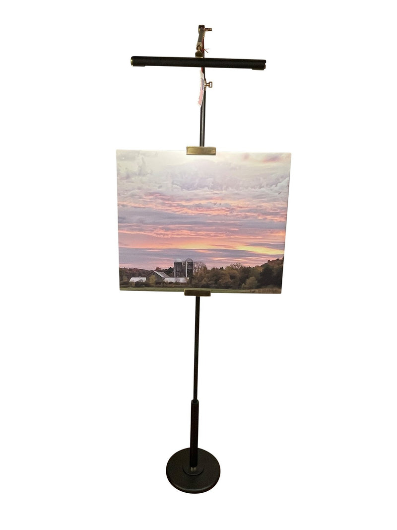 House of Troy RN300-BLK/PB LED Floor Lamp, Black/Polished Brass