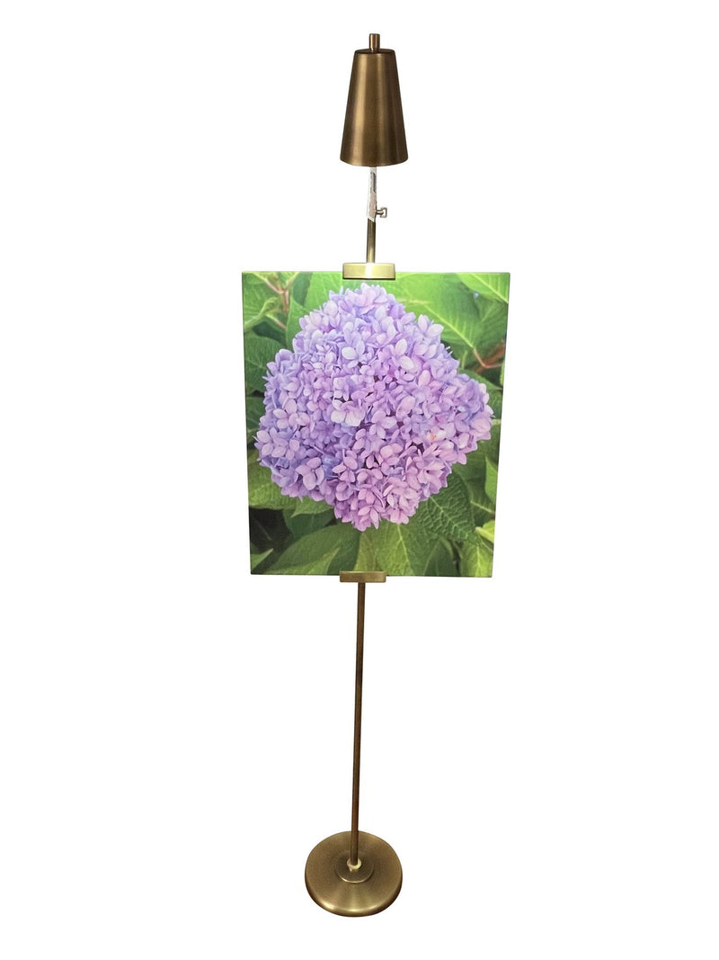 House of Troy RN301-AB/SB LED Floor Lamp, Antique Brass/Satin Brass