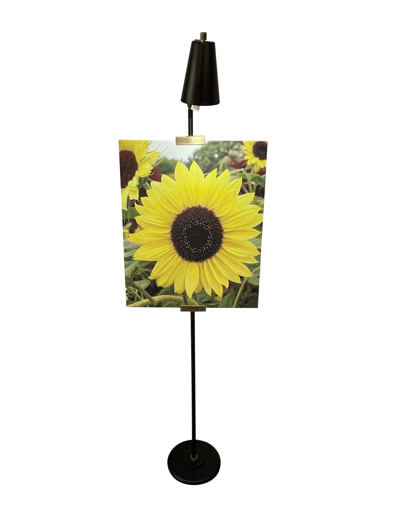 House of Troy RN301-BLK/AB LED Floor Lamp, Black/Antique Brass