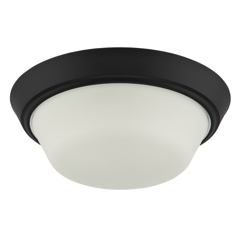 Progress Lighting P350303-031 LED Flush Mount, Black