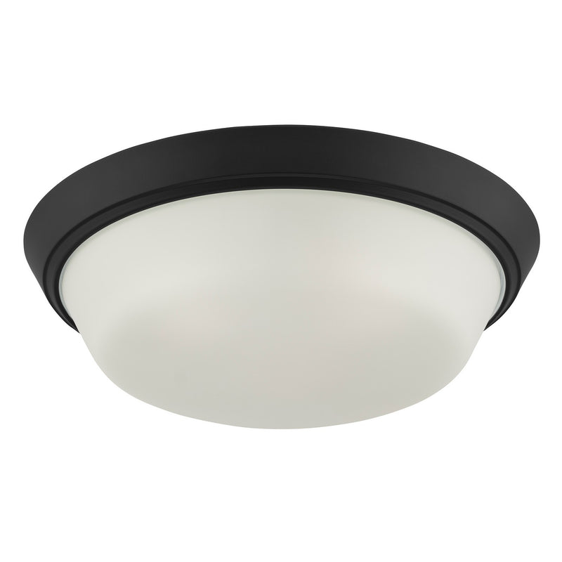 Progress Lighting P350304-031 LED Flush Mount, Black