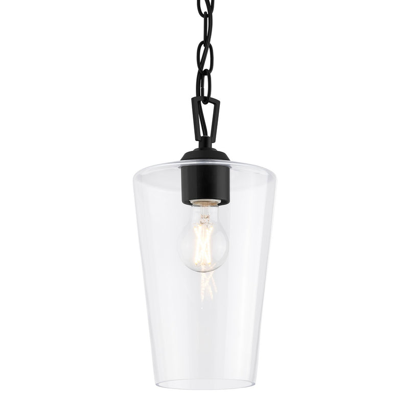 Progress Lighting P500506-031 One Light Pendant, Black
