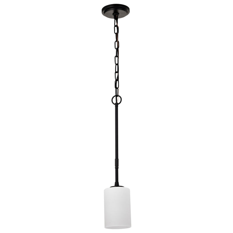 Nuvo Lighting 60-8215 One Light Mini Pendant, Matte Black