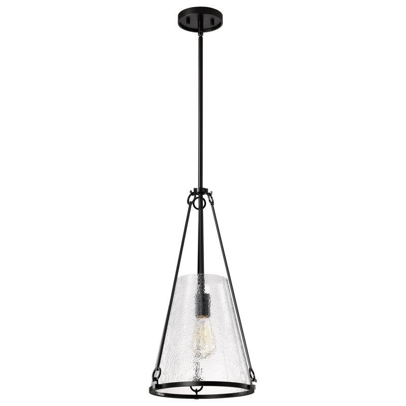 Nuvo Lighting 60-8256 One Light Pendant, Black