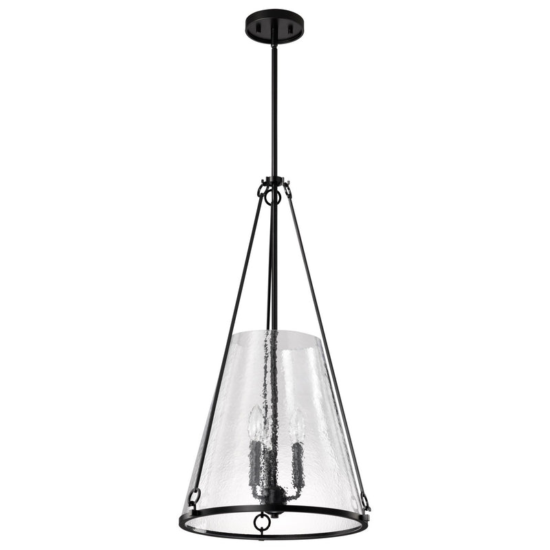 Nuvo Lighting 60-8257 Three Light Pendant, Black