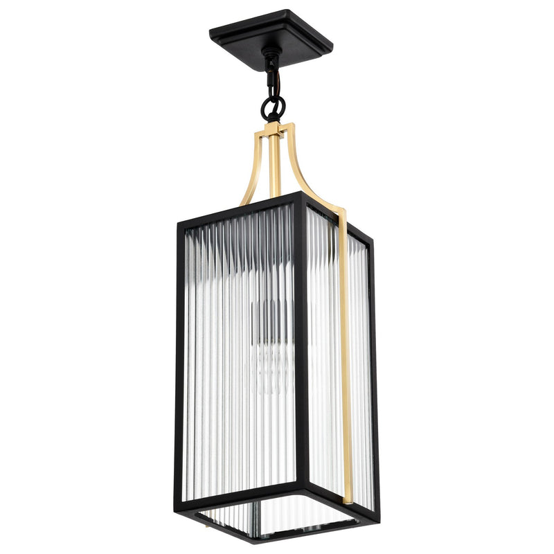 Nuvo Lighting 60-8505 One Light Pendant, Black / Gold