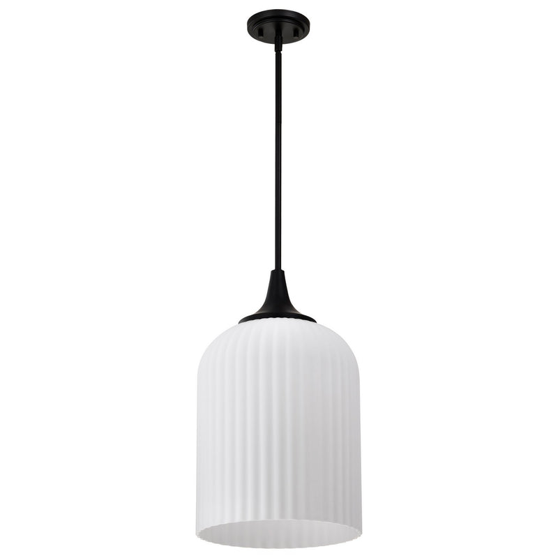 Nuvo Lighting 60-8646 One Light Pendant, Matte Black