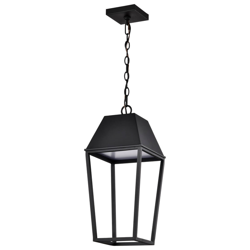 Nuvo Lighting 62-2314 LED Pendant, Matte Black
