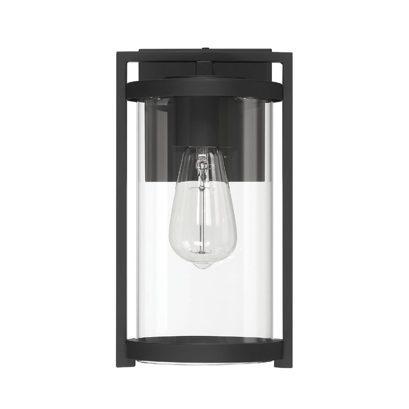 Hunter 46066 One Light Outdoor Wall Mount, Matte Black
