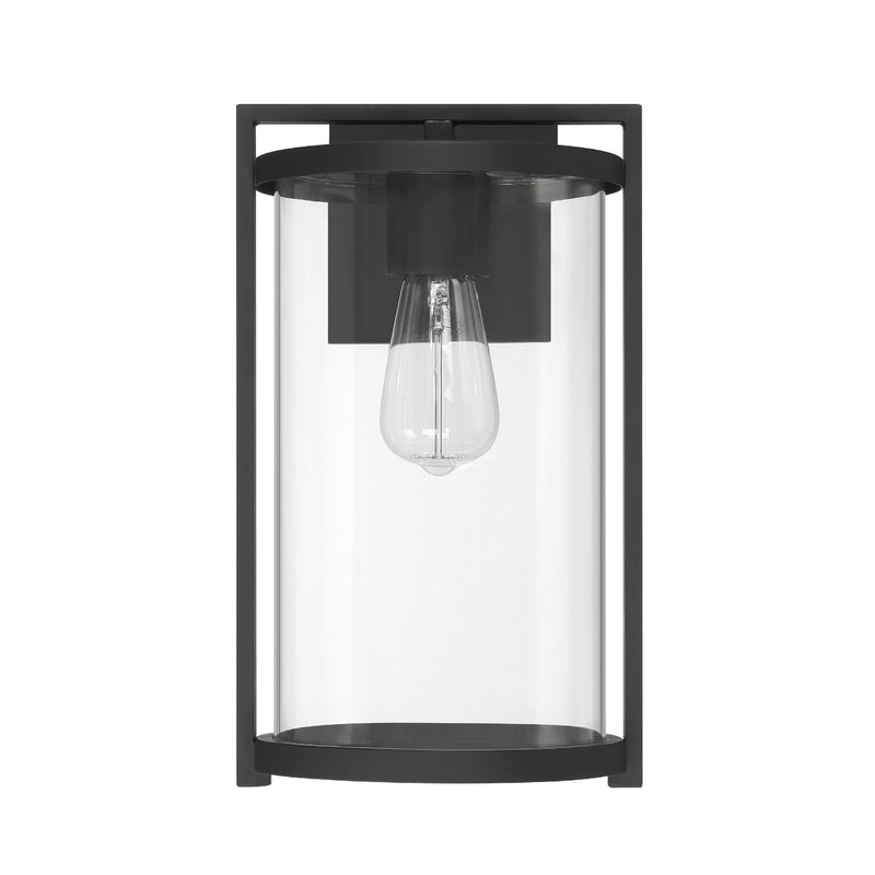 Hunter 46067 One Light Outdoor Wall Mount, Matte Black