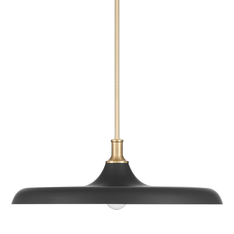 Hunter 48148 One Light Pendant, Matte Black