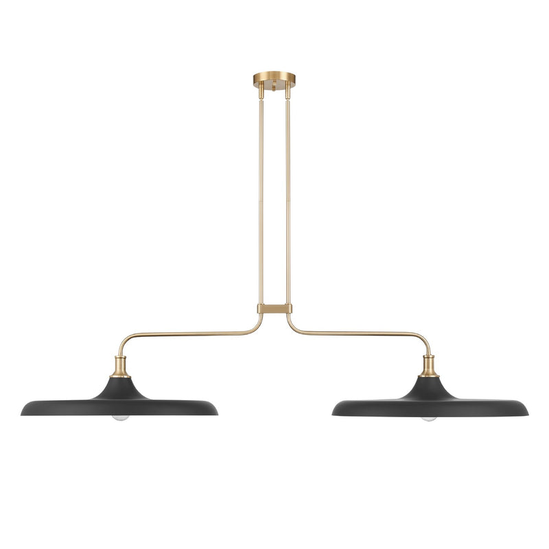 Hunter 48150 Two Light Linear Chandelier, Matte Black
