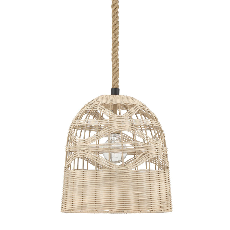 Hunter 48200 One Light Pendant, Matte Black