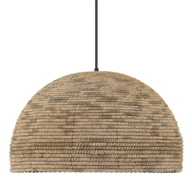 Hunter 48265 One Light Pendant, Matte Black