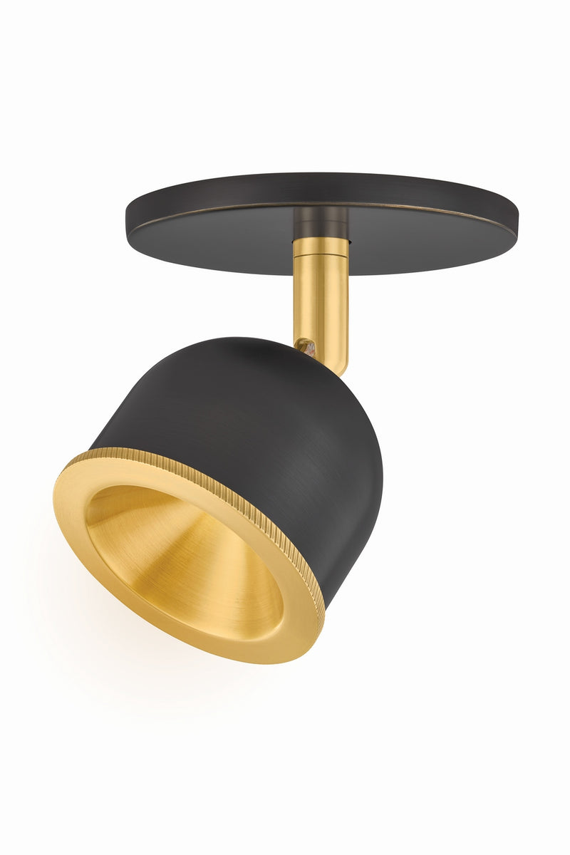 Hudson Valley 3041-AGB/DB LED Flush Mount, Aged Brass