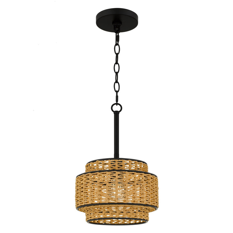 Quoizel TET1510MBK One Light Mini Pendant, Matte Black