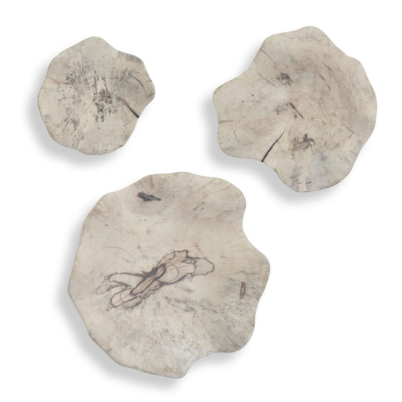 Uttermost 03505 Wall Decor Set/3, Light Bleached