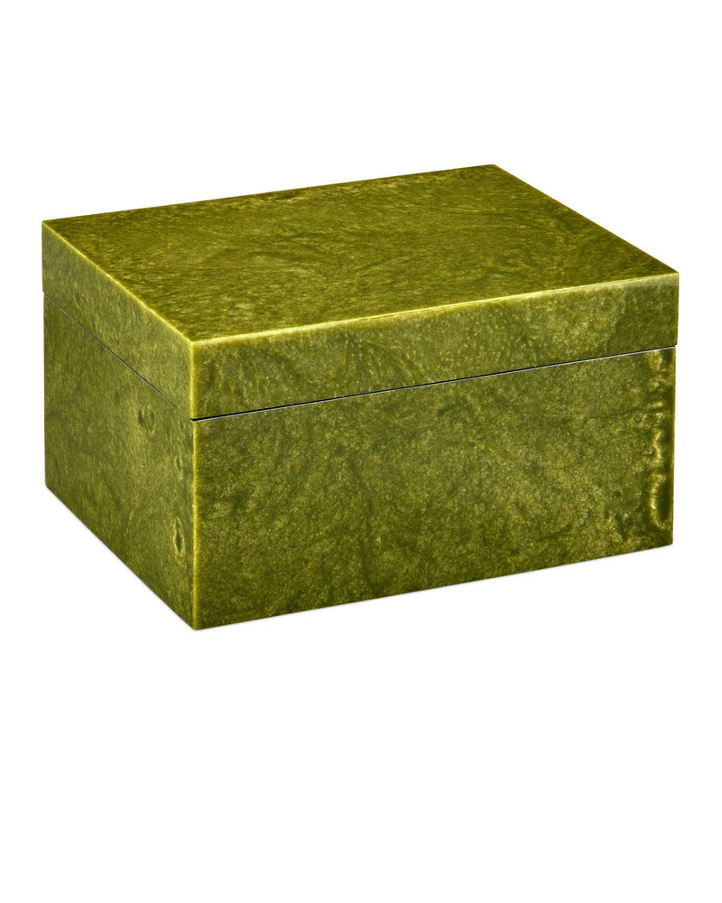 Currey and Company 1200-1024 Box, Green