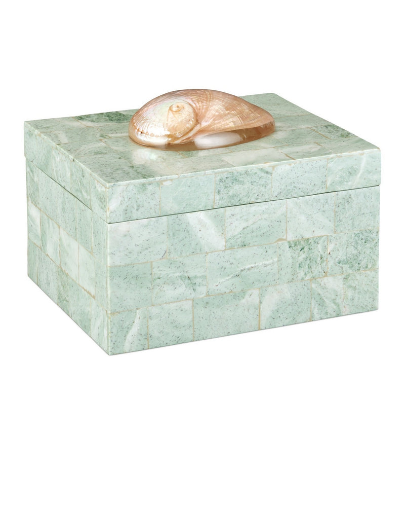 Currey and Company 1200-1025 Box, Natural