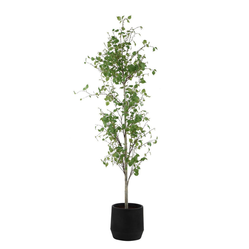 Uttermost 60263 Tree, Aged Gray