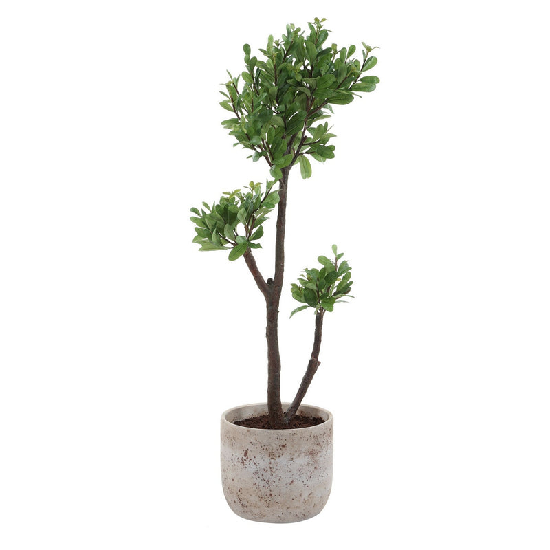 Uttermost 60266 Tree, Aged Ivory