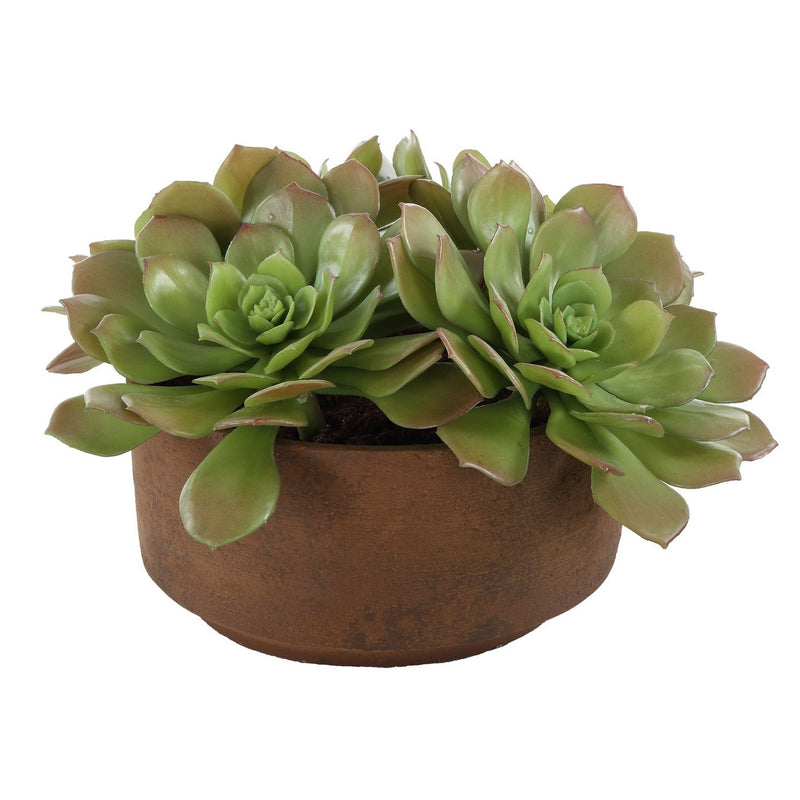 Uttermost 60267 Accent In Pot, Natural Terracotta