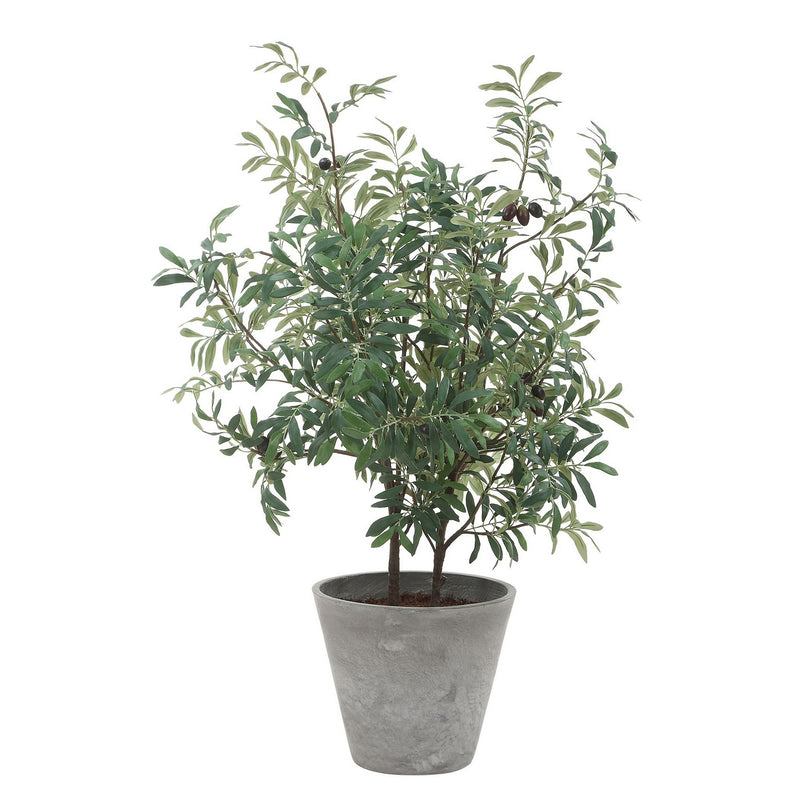 Uttermost 60268 Planter, Natural-looking Olives