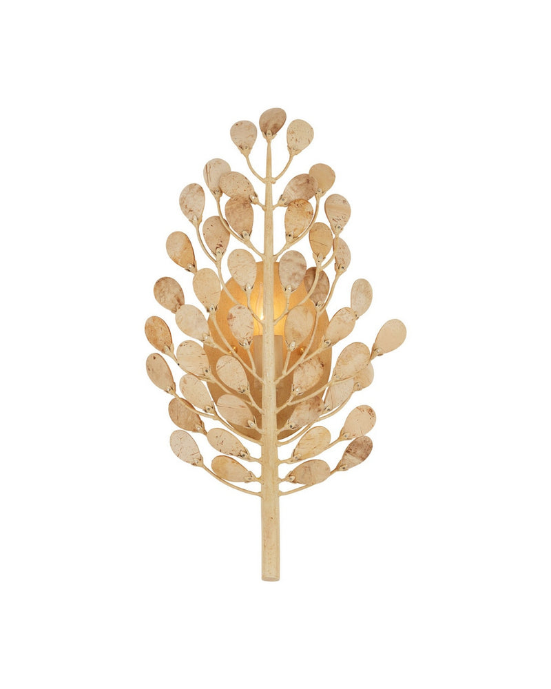 Currey and Company 5900-0057 One Light Wall Sconce, Natural / Coco Cream