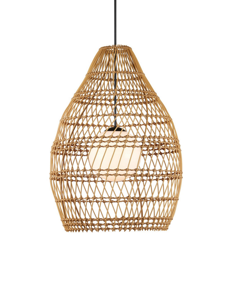Currey and Company 9500-0016 One Light Pendant, Natural / Black / Frosted White